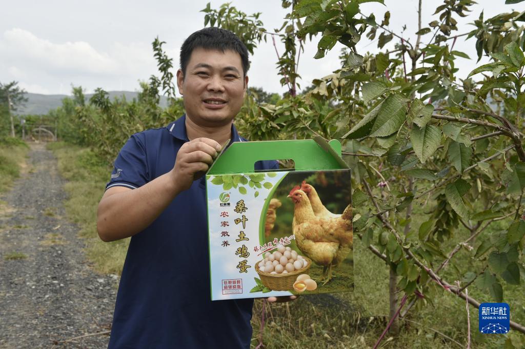 菲律宾宝盈公司